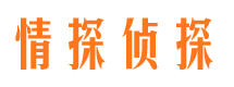 澧县侦探调查公司